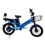 Export customized dual lithium battery electric bicycles with ultra long range and rear folding shelves